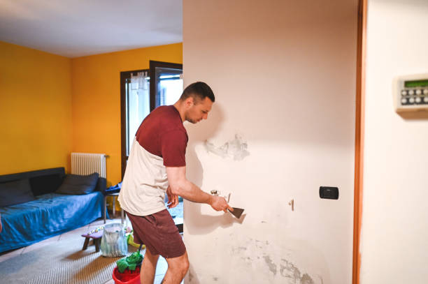  Goodrich, MI Mold Removal Pros