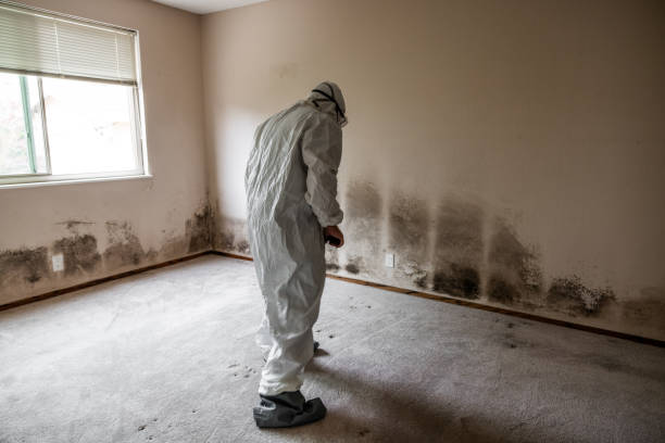 Best Bathroom Mold Remediation in Goodrich, MI